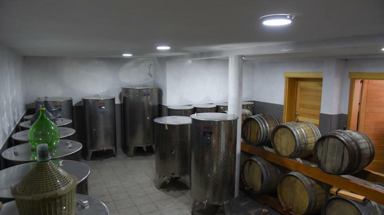 Djukic Winery Apartment Podgoriţa Exterior foto