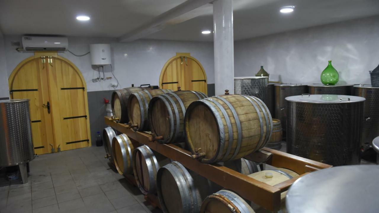 Djukic Winery Apartment Podgoriţa Exterior foto