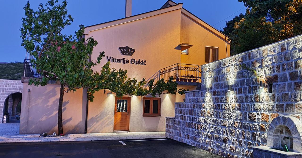 Djukic Winery Apartment Podgoriţa Exterior foto